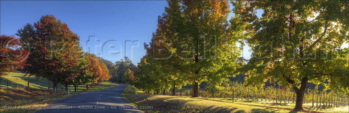 Peter Bellingham Photography Autumn Drive - VIC (PBH4 00 13239)